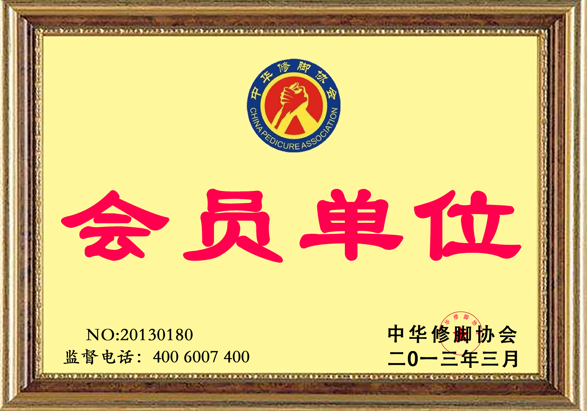 会员单位